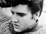 Elvis